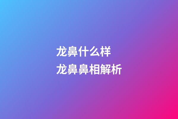 龙鼻什么样 龙鼻鼻相解析